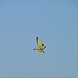 Penvins-festival -2006 -0269